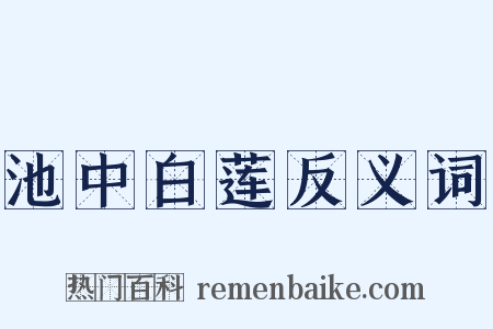 池中白莲反义词是什么意思的图片